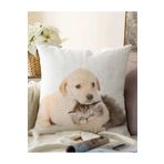 RealHomes Çift Taraflı Köpek Ve Kedili Dijital Baskılı Modern Raşel Örme Yastık Kırlent Kılıfı, Sonil-K-5622-55x55cm