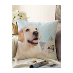 RealHomes Köpek Ve Kedili Dijital Baskılı Modern Çift Taraflı Raşel Örme Yastık Kırlent Kılıfı, Sonil-K-5654-55x55cm