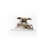 Realhomes Köpek Ve Kedili Dijital Baskılı Modern Dikdörtgen Yastık Kırlent Kılıfı Rh-Dik-5611-35x55