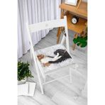 Realhomes Köpek Ve Kedili Dijital Baskılı Modern Fermuarlı Sandalye Minderi Frm-5656