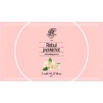 Rebul 65 Derece Jasmine Kolonyalı Mendil 50'li