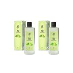 Rebul Lime Kolonya, 270 ml Cam Şişe, 2 Adet Set