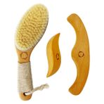 Reccsy Taşınabilir Lenfatik Drenaj Masaj Seti - Konturlu Kaymaz Saplı Vegan Kuru Fırça+Ahşap Terapi Masaj Aletleri. Maderoterapi Kiti, Gua Sha, Selülit Karşıtı, Vücut Şekillendirici, Dolaşımı Teşvik Edin