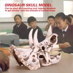 Reçine Dinozor Triceratops Kafatası Modeli Simüle İskelet Ev Ofis Ekran Dekoratif El Sanatları