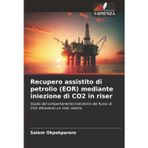 Recupero assistito di petrolio (EOR) mediante iniezione di CO2 in riser