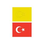 Red Castle KB-RC-105 Türk Bayrağı 10 Adet Büyük Boy A4 Kum Boyama Kartı Seti