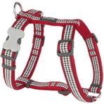 Red Dingo 25 mm Fang It Desenli Kırmızı Köpek Göğüs Tasması