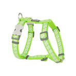 Red Dingo Lime 25 mm Reflektörlü Ziggy Desenli Köpek Göğüs Tasması