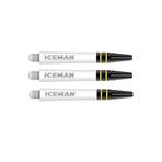RED DRAGON Gerwyn Price Nitrotech Beyaz Siyah ve Altın Üst Ara Dart Şaftları - Paket başına 2 Set (Toplam 6 şaft)