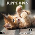 RED EMBER Kedi Yavruları! 2023 Asılabilir Aylık Duvar Takvimi | 30,48 cm x 60,96 cm Açık | Kalın ve Sağlam Kağıt | Hediye Edilebilir | Çocuk Sevimli Kedi | Sevimli Yavru Kedi | Sevimli Aşırı Yük