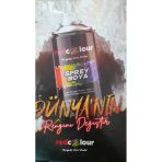 Redcolour Sprey Boya Mat Siyah Ral 9004