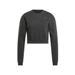 Reebok AE Vector Layer Gri Kadın Sweatshirt