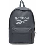 Reebok Ashland 45CM Backpack Gre Gri Unisex Sırt Çantası - Standart