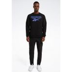 Reebok Identıty Bıg Logo Siyah Erkek Sweatshirt - M - Siyah - Saks Mavisi