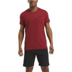 Reebok Identıty Small Log Bordo Erkek Kısa Kol T-Shirt