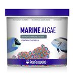 Reeflowers 1 lt Marine Algae Tuzlu Su Balık Yemi