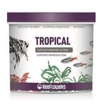 Reeflowers 1 lt Tropical Balık Yemi