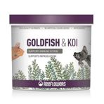 Reeflowers 100 gr Goldfish Koi Balık Yemi