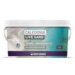 Reeflowers Caledonia Live Sand Gold 9 kg Akvaryum Kumu