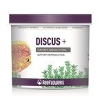 Reeflowers Discus+150 ml/81 gr Kutu Balık Yemi
