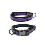 Reflektörlü Orta Irk Köpek Boyun Tasması Medium 2.5 Cm / 36-55 Cm Mor