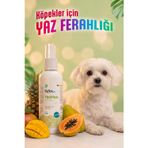 Reflex Care Tropikal Kokulu Köpek Kolonyası 125 Ml