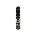 Regal Netflıx You Tube LCD LED Tv Kumandası