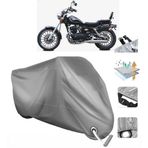 Regal Raptor DD 250E-10 VINLEKS Motor Brandası