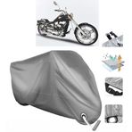 Regal Raptor Dd 350 E-6 Vınleks Motor Brandası