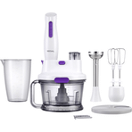 Regal RMBS 1000 B Blender
