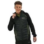 Regatta Andreson II Hybrid Mavi Erkek Ceket