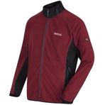 Regatta Ashton Bordo Erkek Polar