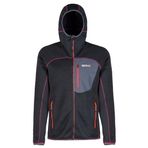 Regatta Cartersville II erkek polar ceket