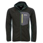 Regatta Cartersville II Haki Erkek Polar