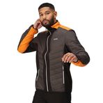 Regatta Erkek Halton VII Kontrast Panel Şaşkın Dolgulu Ceket, Kül/Portakal Biber, XXL