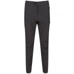Regatta Highton Gri Erkek Pantolon