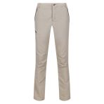 Regatta Leesville Trs Iı Erkek Pantolon-Bej