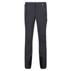 Regatta Mountain Trs Iıı Erkek Pantolon-Gri