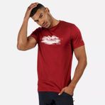 Regatta RMT216 Fingal V Kısa Kollu Bordo Erkek T-Shirt