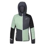 Regatta Womens Trutton Iı Kadin Mont-Grı