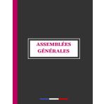 Registre Assemblées Générales: Conforme Au Code Du Commerce Pour Les Sociétés (SAS, SA, SARL, SCI, SASU, Associations Etc) Excellent Pour Les ... ... Et Fonctionnel A4,Triangles Gris,122 pages.