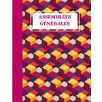 Registre Assemblées Générales: Conforme Au Code Du Commerce Pour Les Sociétés (SAS, SA, SARL, SCI, SASU, Associations Etc) Excellent Pour Les ... ... Gris,122 pages , (21,6 cm x 27,9 cm)