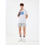 Regular Fit Erkek Şort - Gri Melanj
