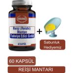 Reişi Mantarı Gıda Takviyesi - Sabunluk Hediyemiz 2003 - 04