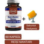 Reişi Mantarı Gıda Takviyesi - Sabunluk Hediyemiz 2003 - 05