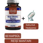 Reişi Mantarı Gıda Takviyesi - Sabunluk Hediyemiz 2003 - 06