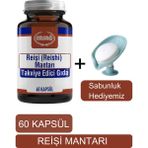 Reişi Mantarı Gıda Takviyesi - Sabunluk Hediyemiz 2003 - 07