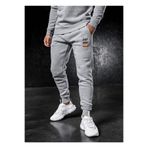 Relax family xf Erkek Kışlık Gri Eşofman Altı Dar Paça Slim Fit Jogger Iki Iplik Baskılı