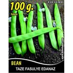 Rem Seeds 100gr Edanaz Oturak Tnk Fasulye Tohumu