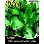 Rem Seeds 10kg Toros Maydanozu Tohumu